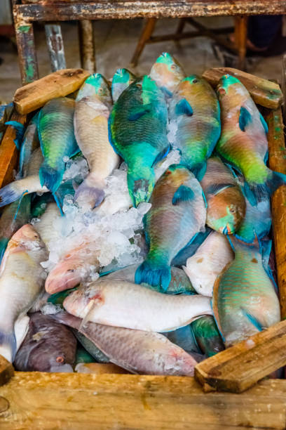 istock Different fish on fish market in a Hurghada city, Egypt 1098163848