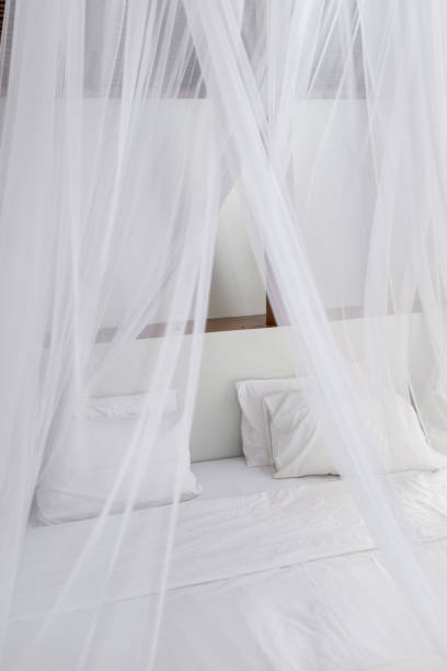 istock Bed with white linen, pillows and mosquito net. Vintage Interiors. Bed with canopy net. 1098169348