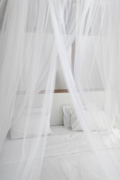 ベッド(白いリネン、枕、蚊帳付)が備わります。ヴィンテージインテリア。キャノピーネット付きベッド。 - mosquito mosquito netting protection insect ストックフォトと画像