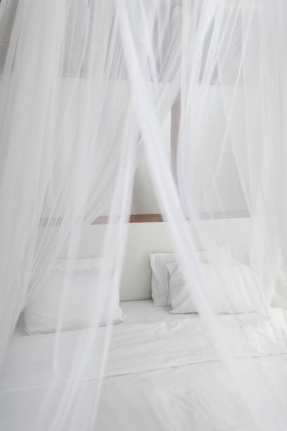istock Bed with white linen, pillows and mosquito net. Vintage Interiors. Bed with canopy net. 1098169350