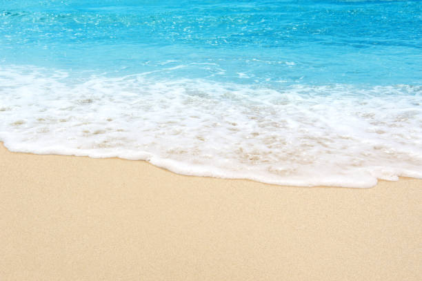 istock beautiful sandy beach and soft blue ocean wave 1098179178