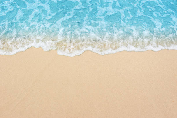 istock beautiful sandy beach and soft blue ocean wave 1098181952
