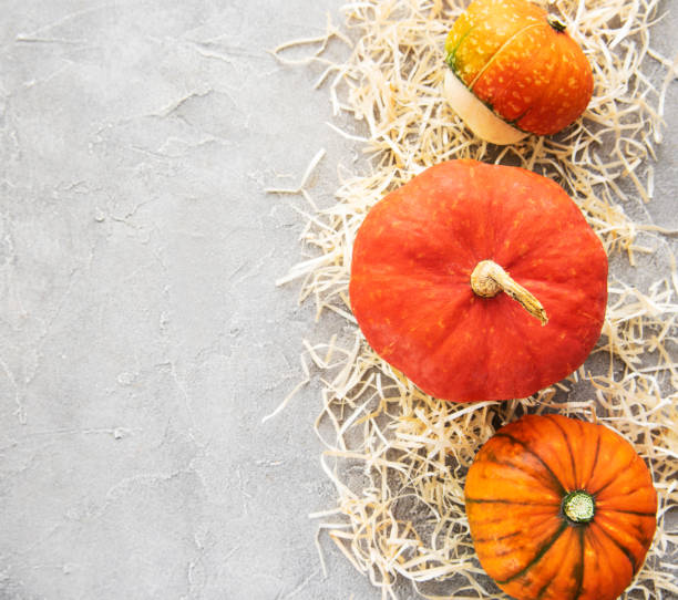istock Colorful autumn pumpkins 1098190410