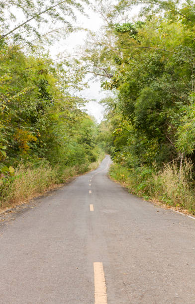 istock Long road in rainforest of Thailand 1098194336