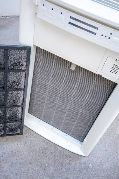 istock Closed up dirty high performance HEPA filter of air purifier. 1098197792