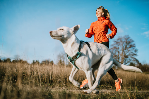 A young adult woman enjoys jogging outdoors on a beautiful day in the Pacific Northwest, her canine companion joining her for the exercise run.  Shot in Seattle, Washington.