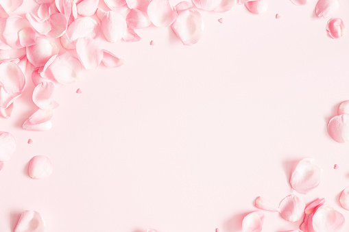 Composición de flores. Se levantó pétalos de flores sobre fondo rosa pastel. Día de San Valentín, día de las madres, concepto de día de las mujeres. Endecha plana, alta vista, espacio de copia photo
