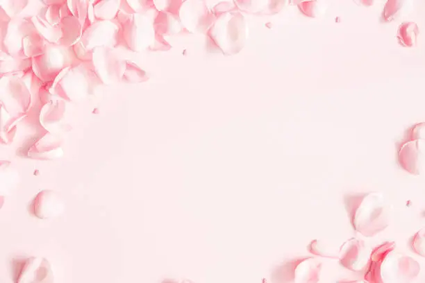 Photo of Flowers composition. Rose flower petals on pastel pink background. Valentines day, mothers day, womens day concept. Flat lay, top view, copy space
