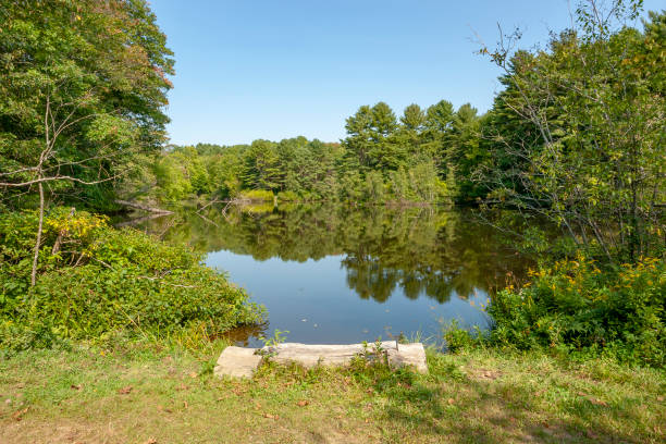 istock riparian scenery around Yarmouth 1098220266