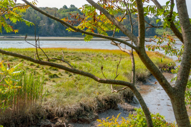 istock riparian scenery around Yarmouth 1098220416