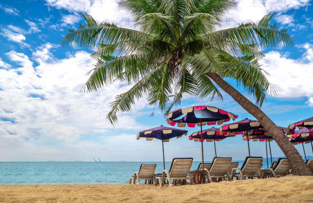 istock The bed on the beach for relaxing or sunbathing on a relaxing day, tropical climate 1098221278