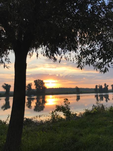 istock Beautiful morning by the river 1098221520