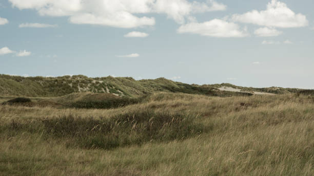 istock Ameland zomer 2018 1098231786