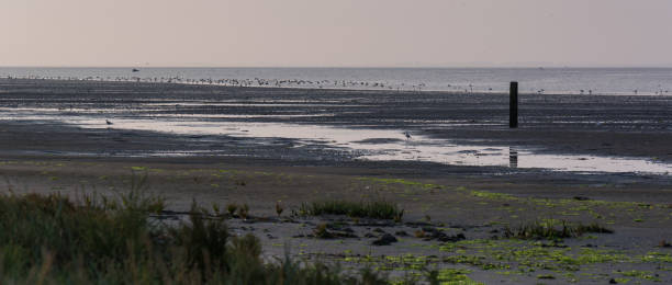 istock Ameland zomer 2018 1098231876