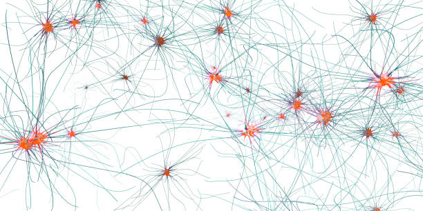 istock 3d illustration of transmitting synapse,neuron or nerve cell 1098232568
