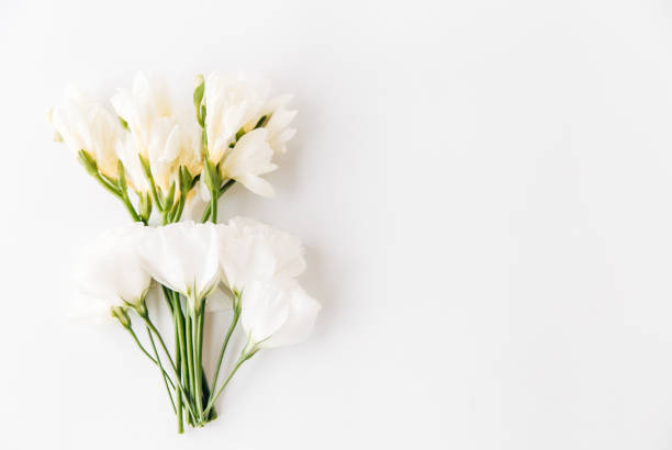 istock creative composition of white flowers.flat lay.flower background. minimalist style 1098243930