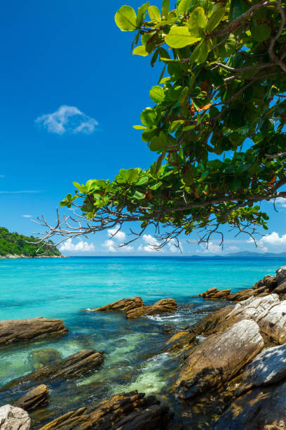 istock a tropical beach and a bay 1098250546