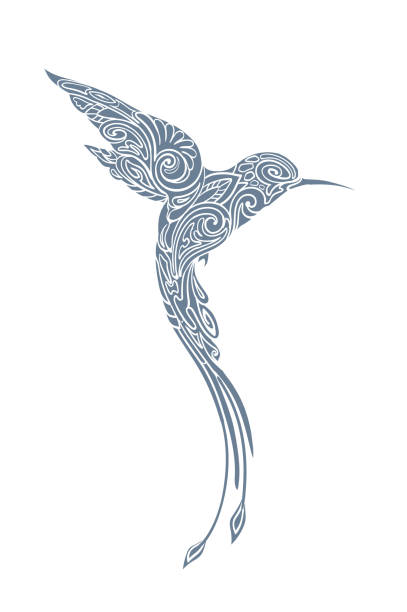 ilustraciones, imágenes clip art, dibujos animados e iconos de stock de pájaro colibrí, monocromo. me - canturrear