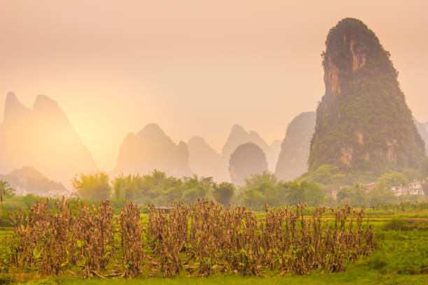 istock Typical landscape in Yangshuo Guilin, China 1098257460