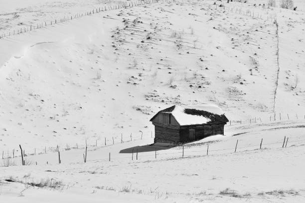 istock Black and white. Winter on Carpathian mountains.rural landscape. 1098259890