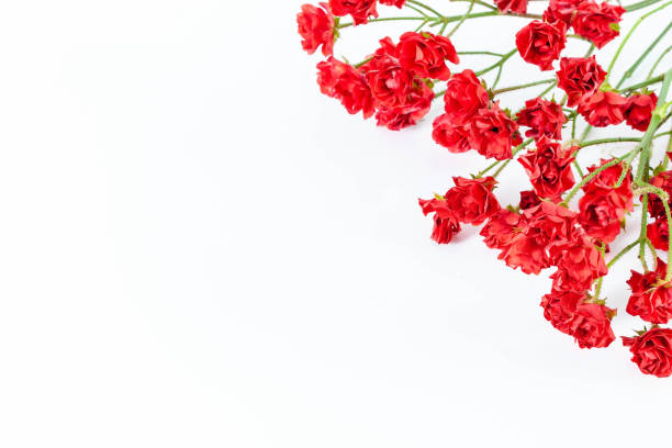 istock Botanic card with wild flowers, leaves. Spring ornament concept. 1098261472