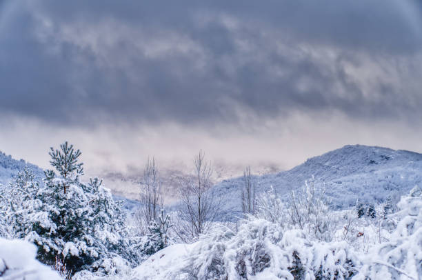 Winter landscape with mountains and background with fog
