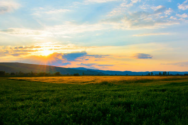 istock Beautiful landscape with sunset clouds and field 1098263904