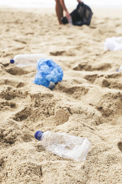 istock Volunteer man collecting trash from the beach. Trash-free seas concept. Single-use plastic is a human addiction that is destroying our planet 1098266912