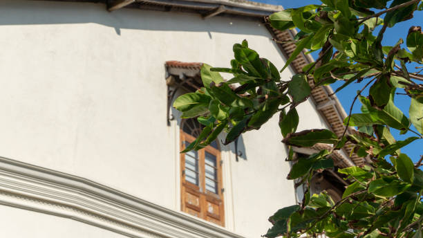 istock View Of The Window Through The Green Branch 1098276032