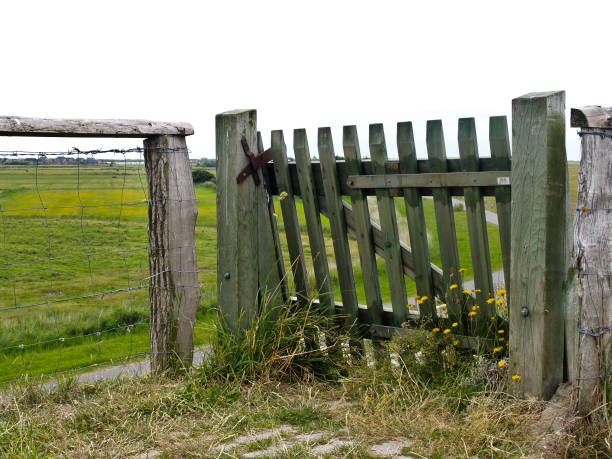 istock wooden fence on the dike 1098276324