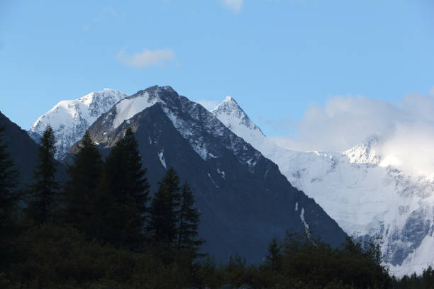 monte boris e bronya sullo sfondo del monte belukha, katunsky ridge, altai, russia - larch tree stone landscape sky foto e immagini stock