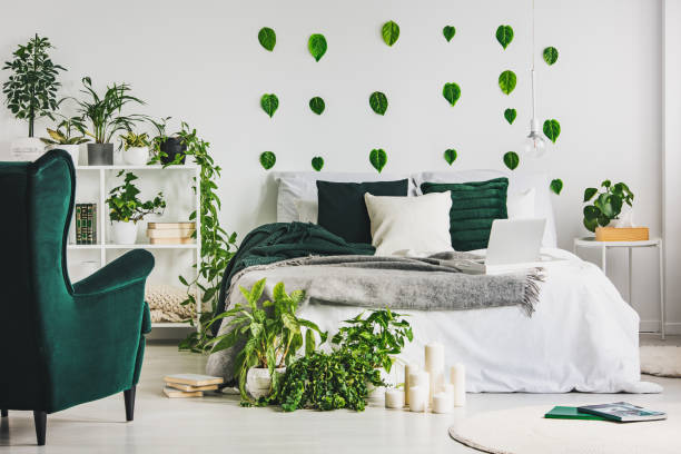 urban jungle in cozy emerald green and white bedroom interior with king size bed - sheet metal fotos imagens e fotografias de stock