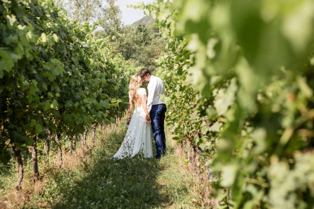 Wedding couple in vineyard stock photo