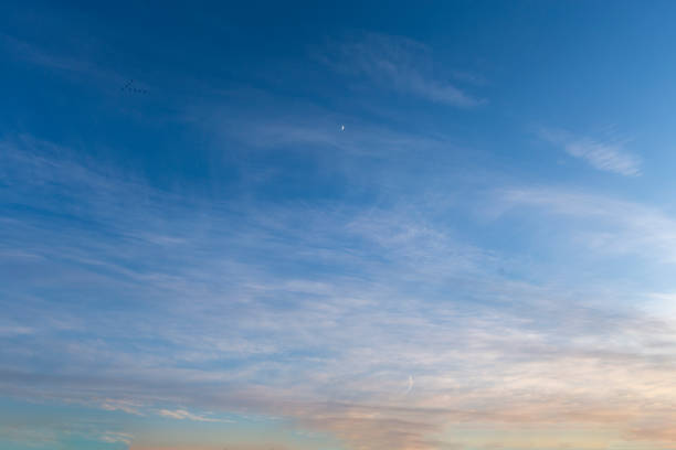 istock Beautiful pink clouds on blue sky 1098302550