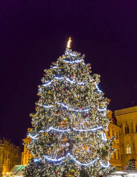 istock Big beautifuly decorated Christmas tree 1098303370