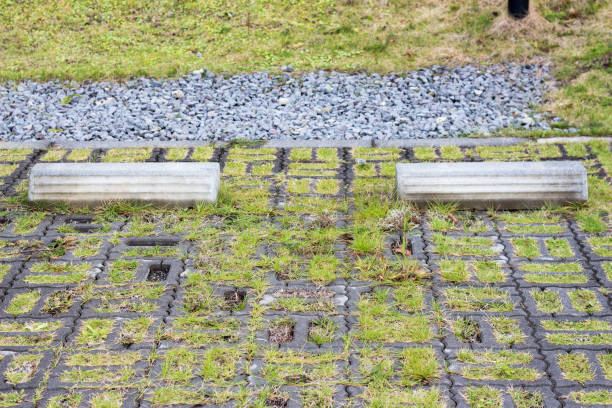 istock Concrete parking block on lawn yard 1098303794