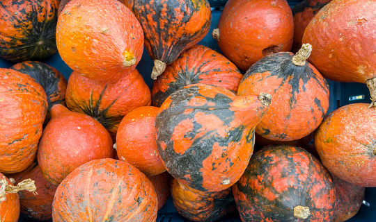 Top view of many ripe red pumpkins in a basket