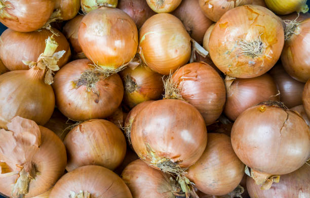 istock Pile of bio onions background 1098306162
