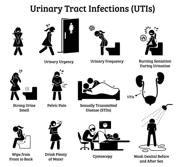 Urinary Tract Infections UTIs icons. Illustrations depict signs, symptoms, treatment, and precaution for urinary tract infections in woman. pelvis icon stock illustrations