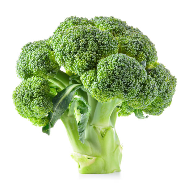 broccoli. broccoli isolated on white. - cauliflower vegetable white isolated imagens e fotografias de stock