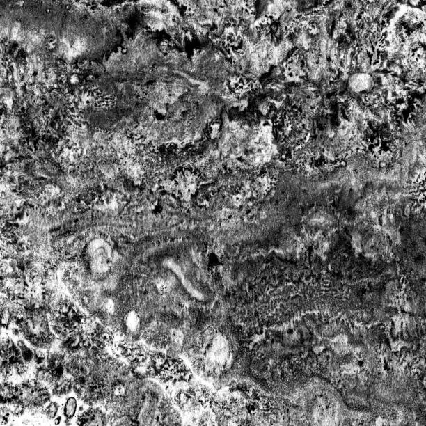Photo of Texture marbling on the paper background. Marble of black, white and gray colors.