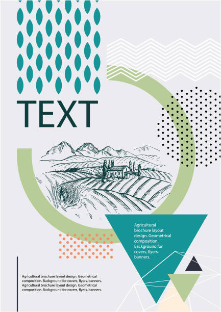 Agricultural brochure layout design. Geometrical composition. Background for covers, flyers, banners. Tuscan landscape. Agricultural brochure layout design. Geometrical composition. Background for covers, flyers, banners. wheat backgrounds stock illustrations