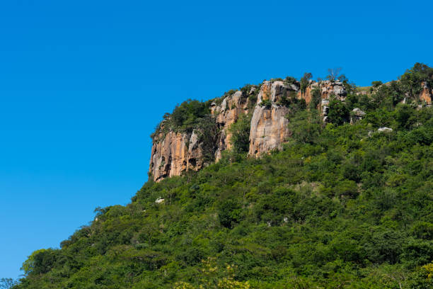 istock A rocky outcrop in a forest against a blue sky. 1098312870