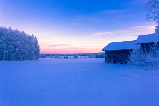istock Winter landscape from Finland. 1098314856