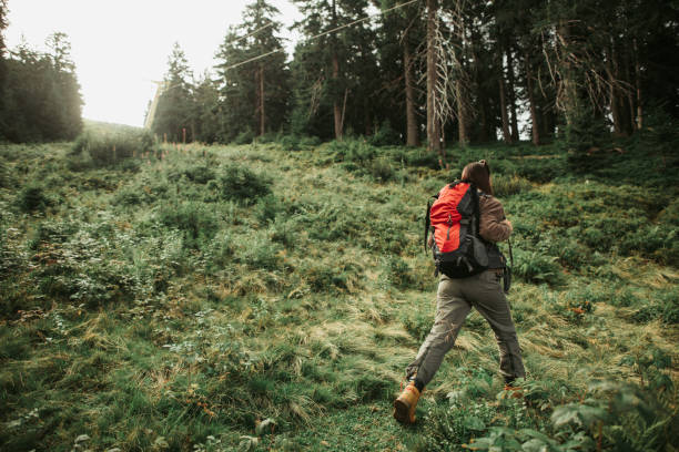 istock Young female traveler walking alone in forest 1098315292