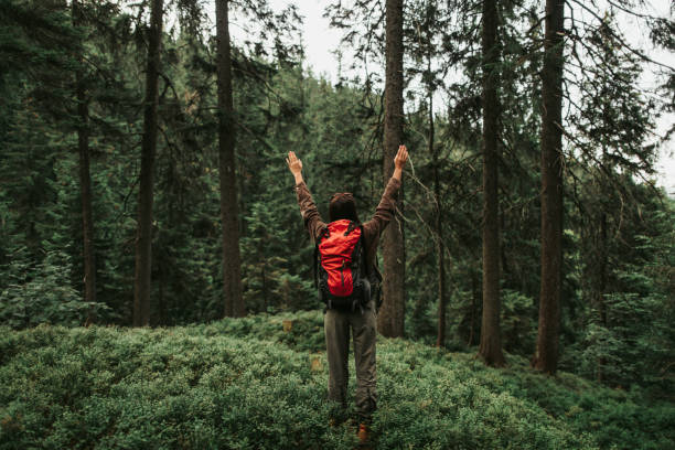 istock Young lady with raised hands standing in beautiful coniferous forest 1098315342