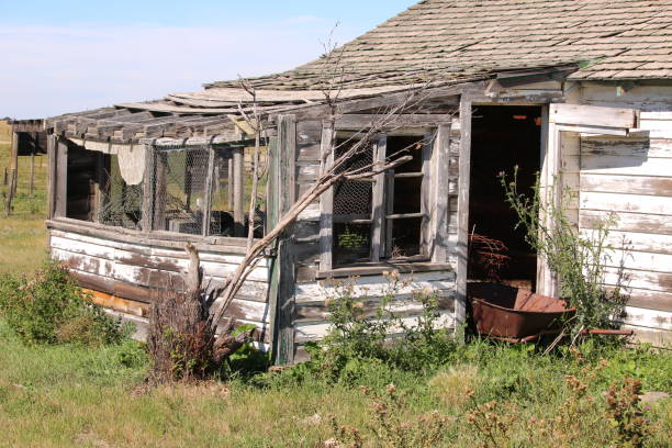 istock An old abandoned white farm house 1098317806