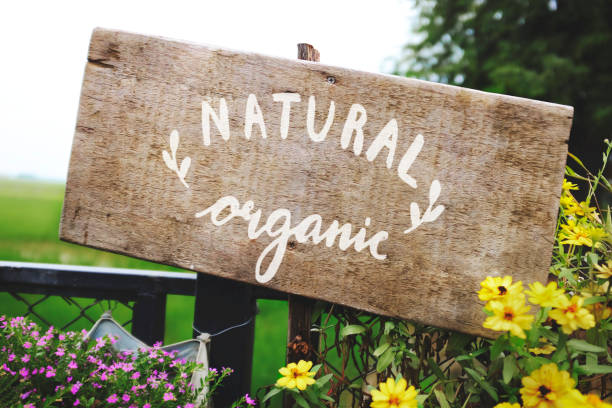 istock Natural organic wooden sign board mockup 1098321762