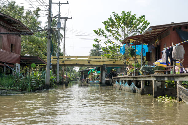 istock Damnoen Saduak houses 1098323302