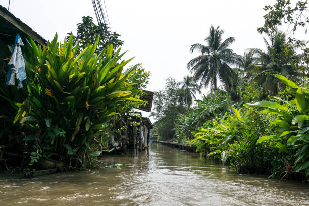 istock Damnoen Saduak houses 1098323402